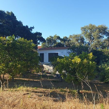 Quinta De Sao Pedro Villa Sobreda Luaran gambar