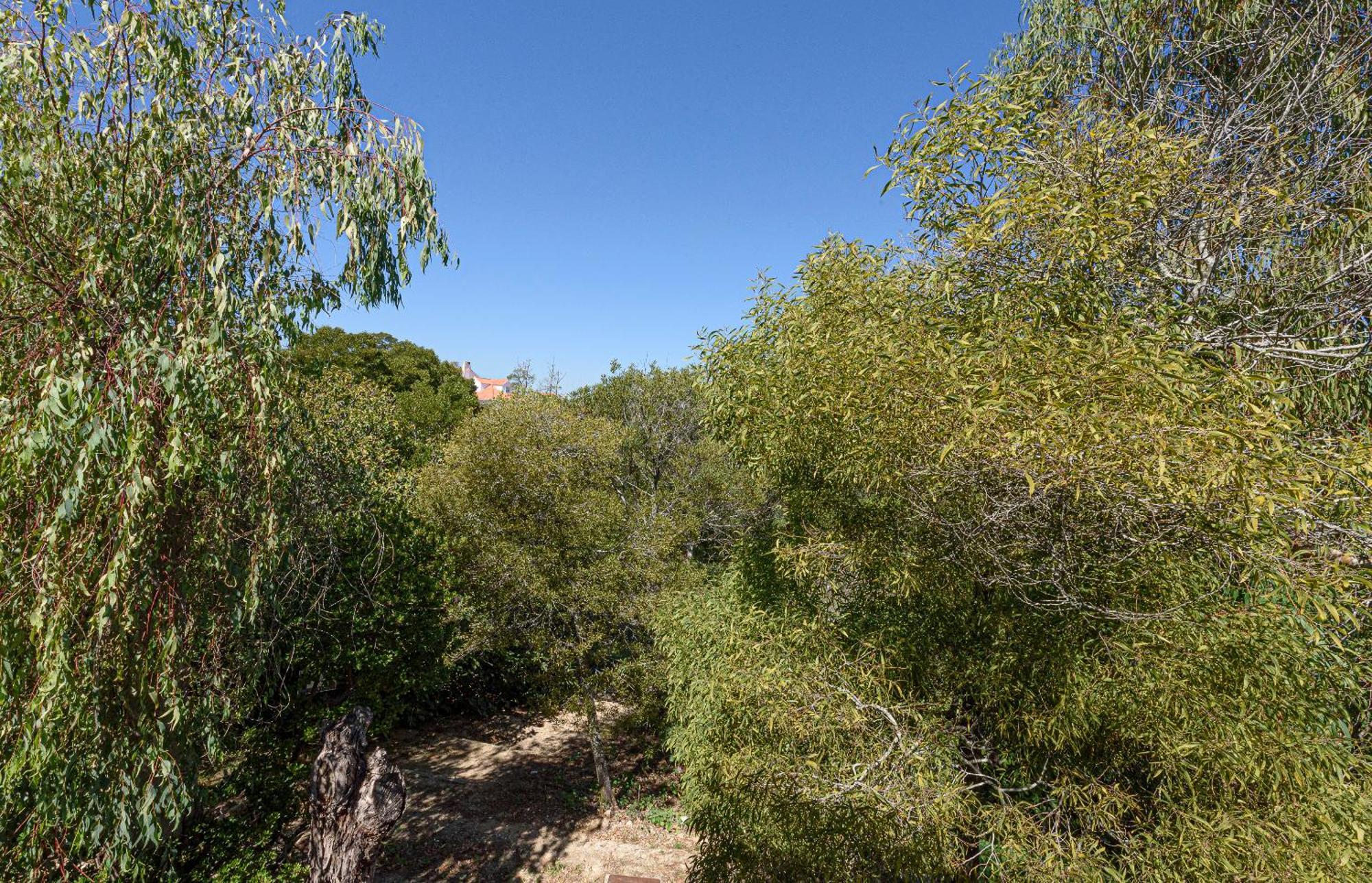 Quinta De Sao Pedro Villa Sobreda Luaran gambar