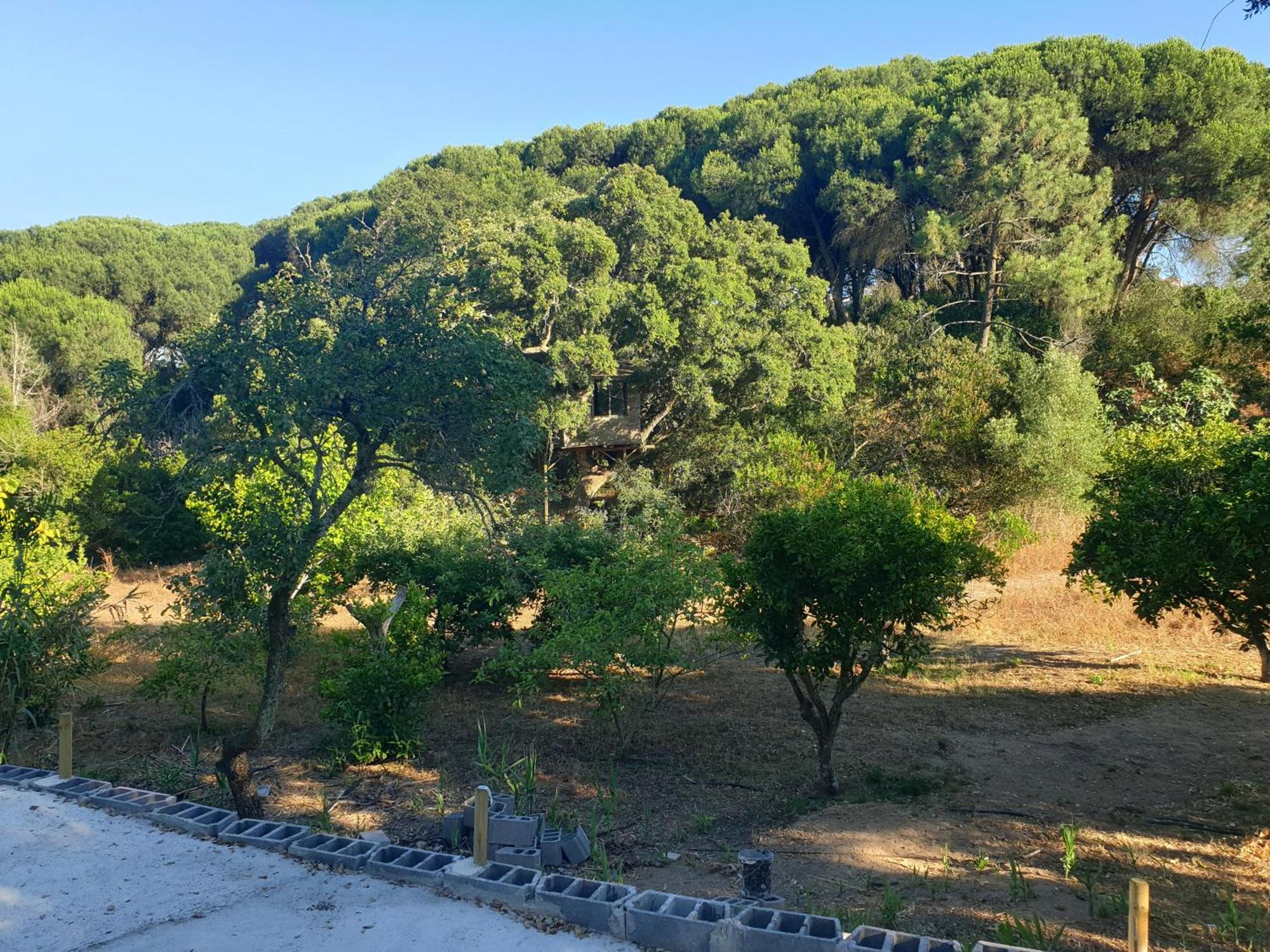 Quinta De Sao Pedro Villa Sobreda Luaran gambar